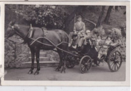 Carte Photo Attelage Taxi Cabriolet Avec Un Cheval  " Réf 29884 - Autres & Non Classés