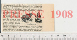 Doc 1908 Bonbinateur Batracien Bombinator Igneus Crapaud 222C1 - Unclassified