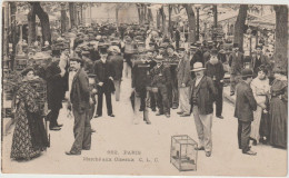 Paris : Marché Aux  Oiseaux - Autres & Non Classés