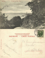 Denmark, AARHUS ÅRHUS, Udsigt Fra Riis Skov (1907) Postcard - Dänemark