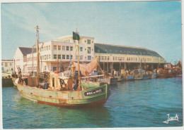 Finistère : LE GUILVINEC  : Les  Bateaux  Pêche ,  Criée Au Port  ( Pile Ou Face ) - Andere & Zonder Classificatie