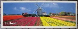 NETHERLANDS HOLLAND WINDMILL FLOWERS KARTE XL POSTCARD ANSICHTSKARTE CARTE POSTALE CARTOLINA POSTKARTE CARD - Other & Unclassified