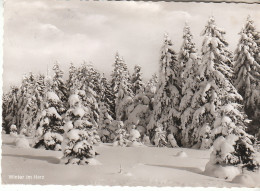 Winter Im Harz Gl1961 #C9629 - Otros & Sin Clasificación