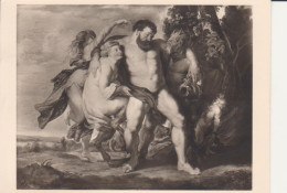 Kassel Gemäldegalerie, Künstler Rubens: Der Trunkene Herkules Ngl #217.702 - Sin Clasificación
