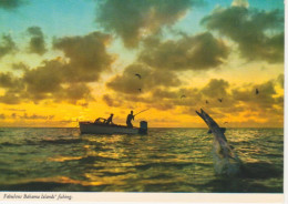 Fabulous Bahama Islands' Fishing Ngl #218.368 - Sonstige & Ohne Zuordnung