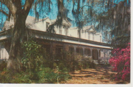 Louisiana The Myrtles Plantation Gl1961 #218.320 - Autres & Non Classés