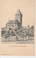 Burg Falkenstein Im Elsass Im Jahre 1734 Ngl #218.293 - Elsass