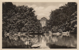 Gotha Blick Zum Museum Gl1955 #D1207 - Sonstige & Ohne Zuordnung