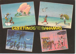 Greetings From The Bahamas Glca.1980 #218.372 - Other & Unclassified