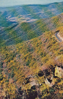 Curves On Skyline Drive In Virginia Ngl #D2021 - Other & Unclassified