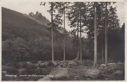 Ilsenburg Ilsetal Mit Paternoster-Klippe Ngl #D2349 - Sonstige & Ohne Zuordnung