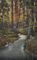 Waldpartie Am Bach Glum 1910? #D2500 - Malerei & Gemälde