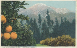 USA A California Anomaly - Snow And Oranges Gl1929 #D3171 - Andere & Zonder Classificatie