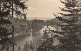 Tambach-Dietharz Thür.Wald Gothaer Talsperre Gl1963 #D3284 - Sonstige & Ohne Zuordnung