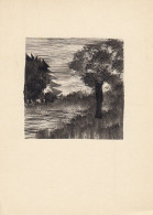 Miniatur Bäume Am Teichufer Ngl #D4212 - Zonder Classificatie