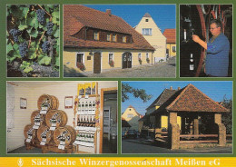 Sächsische Winzergenossenschaft Meissen Mehrbildkarte Gl2000 #D5515 - Altri & Non Classificati