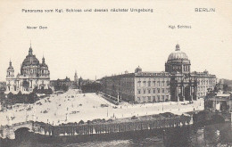 Berlin Panorama Vom Kgl.Schloss, Dom Und Umgebung Ngl #D3552 - Andere & Zonder Classificatie