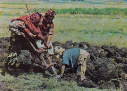 Perú Chaquitacjlla Peasants Tilling The Soil As In The Inca Times Ngl #D6135 - Altri & Non Classificati