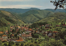 Oppenau Im Schwarzwald Panorama Gl1972 #D5139 - Autres & Non Classés