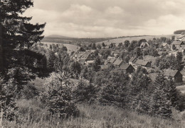 Tann Im Harz (Oberharz Am Brocken) Gl1966 #D4793 - Autres & Non Classés