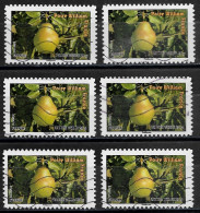 France 2012  Oblitéré Autoadhésif  N° 697  (  6 Exemplaires  )  -     Flore  -  Fruits De France Et  Du Monde - Used Stamps