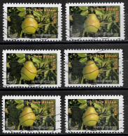 France 2012  Oblitéré Autoadhésif  N° 697  (  6 Exemplaires  )  -     Flore  -  Fruits De France Et  Du Monde - Gebraucht