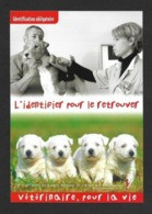 CPM.   Vétérinaire, Pour La Vie.   Animaux.   Métier.   Postcard. - Autres & Non Classés