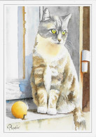 Aquarelle De Jean-Claude Papeix - Katzen