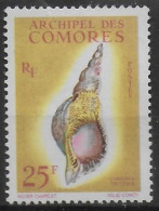 COMORES  N° 24 * * ( Cote 16e ) Coquillages - Schelpen