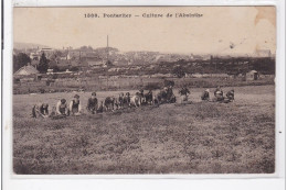 PONTARLIER : Culture De L'absinthe - état - Pontarlier