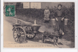 HAUTMONT : Attelage De Fermiere Allant Traire Le Lait Dans Les Paturages (voiture à Chien - Tres Bon Etat - Autres & Non Classés