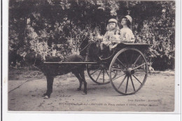 BOURGUEIL : Curiosité Du Pays Voiture à Chien Attelage De Luxe - Tres Bon Etat - Altri & Non Classificati