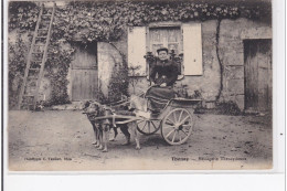 THENAY : Messagerie Thenaysienne (voiture à Chien) (édition Rare) - Très Bon état - Autres & Non Classés