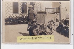 VERNON : Carte Photo D'une Voiture à Chien (charrette à Bras Avec Chien Attelé) - Très Bon état - Vernon