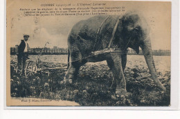 LAVILLEDIEU : L'elephant Laboureur, Ce Rendant Plus Utile à Labourer Qu'à Transporter Matériel De Guerre - Tres Bon Etat - Otros & Sin Clasificación