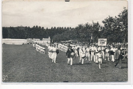 BOURGOIN : Militaire, 7 Legion Viennoise De Vienne - Tres Bon Etat - Bourgoin