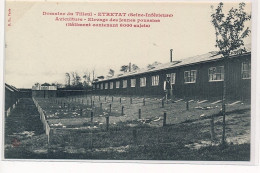 ETRETAT : Domaine Du Tilleul, Aviculture, Elevage Des Jeunes Poussins (batiment Contenant 6000 Sujets) - Très Bon état - Etretat