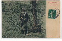 HAUTES PYRENEES : Type De Vieux Berger Pyreneen - Tres Bon Etat - Sonstige & Ohne Zuordnung