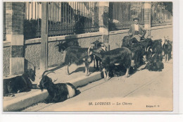 LOURDES : Les Chèvres - Tres Bon Etat - Lourdes