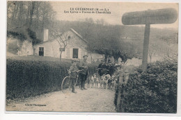 LE GUEDENIAU : Les Caves, Forest De Chandelais, Velos, Chiens - Tres Bon Etat - Autres & Non Classés