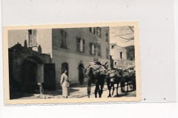 GHISONI : Attelage De Mulets, Photo Format 11x7 Cm - Tres Bon Etat - Autres & Non Classés