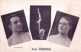 Cirque - Les ADONIA ( Acrobates )  - Cirque
