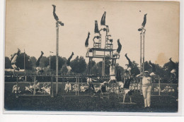 FOUGERES : Fete De Gymnastique - Tres Bon Etat - Fougeres