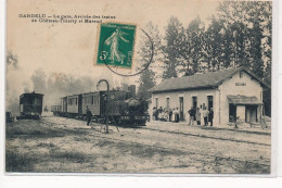 GANDELU : La Gare, Arrivée Des Trains De Chateau-thierry Et Mareuil - Tres Bon Etat - Andere & Zonder Classificatie