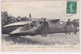 ILE D'OLERON : Baleine échouée Sur La Cote En 1909 - état - Ile D'Oléron