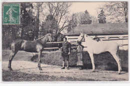 BERNAY : écuries De Menneval En 1907 (poney Gris Et Ponette ) - Très Bon état - Bernay