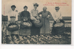 Environs PITHIVIERS-en-GATINAIS : La Recolte Du Safran, La Cueillette De La Fleur - Tres Bon Etat - Pithiviers