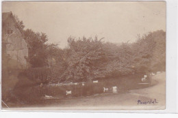 PLOUARDEL (PLOUARZEL) : Carte Photo - état - Other & Unclassified