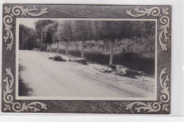 VARREDDES : 1914/18 - Carte Photo De Chevaux Allemands Tués Et Brulés (militaire - Guerre) - Très Bon état - Sonstige & Ohne Zuordnung