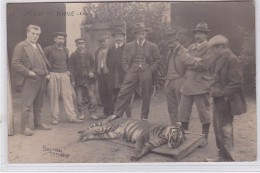 DROUE : Carte Photo De La Tigresse (chasse) - Très Bon état - Andere & Zonder Classificatie